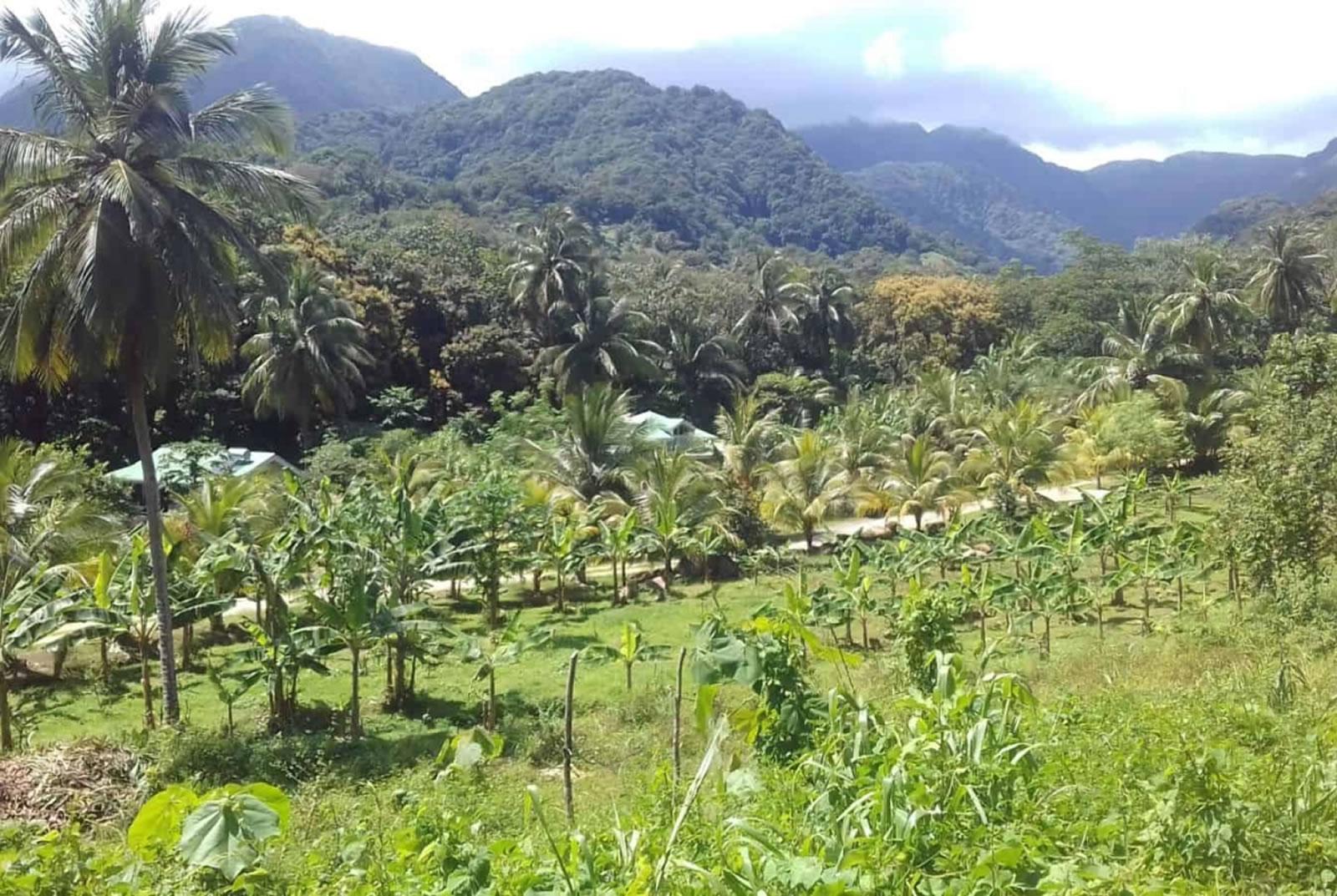 20 Acre Eco Lodge for Sale, La Plaine, Dominica — photo 5