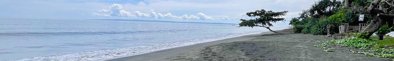 Exclusive 50 ARE Freehold Beachfront Land in Jembrana – 2654 — photo 2