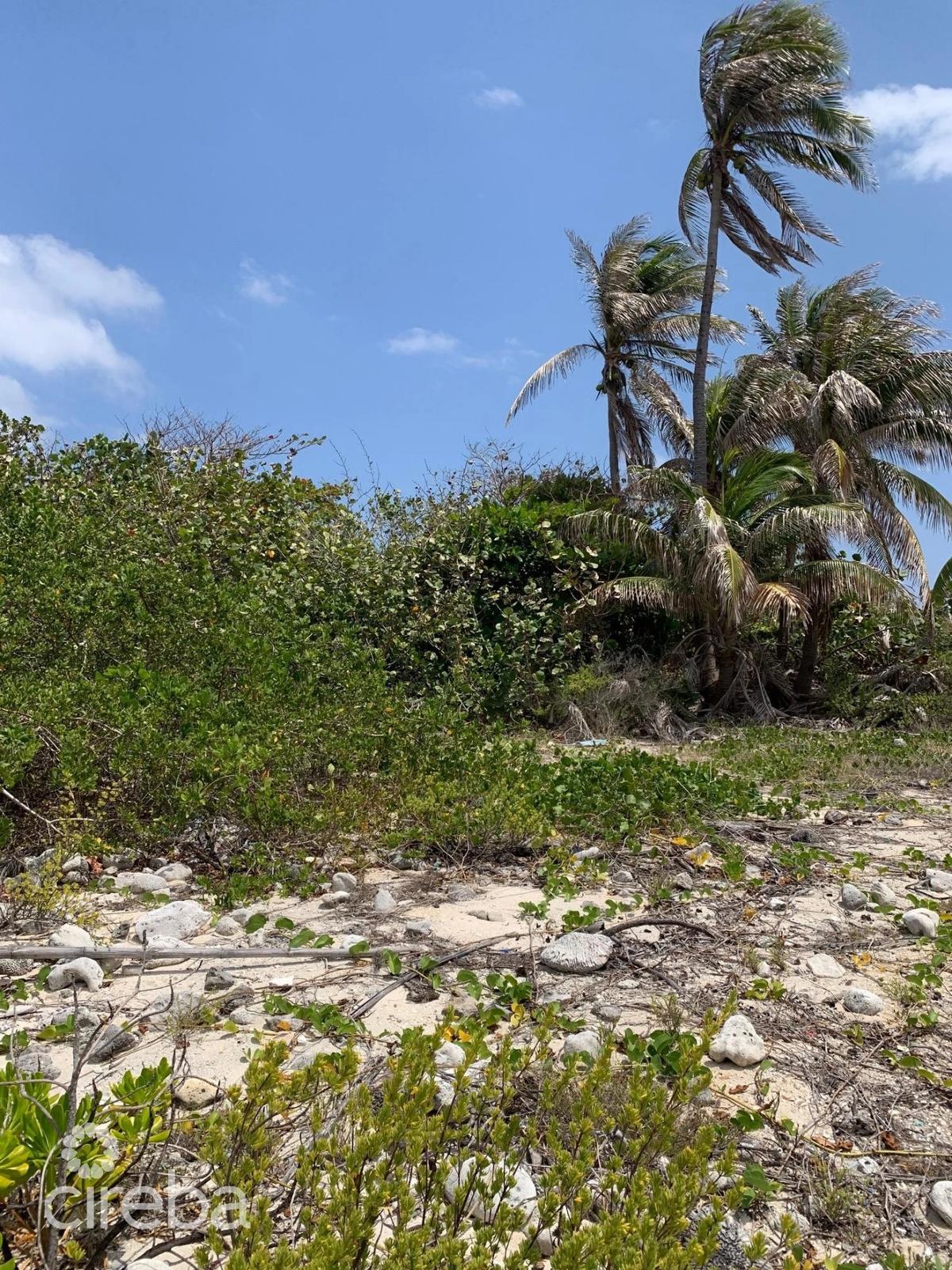 Northside Ocean Front And Inland Property — photo 5