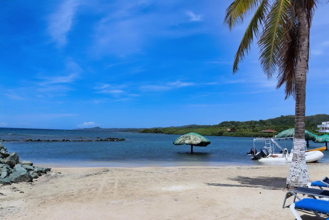 4 bedroom Oceanfront Villa for sale in Las Palmas Roatan — photo 3