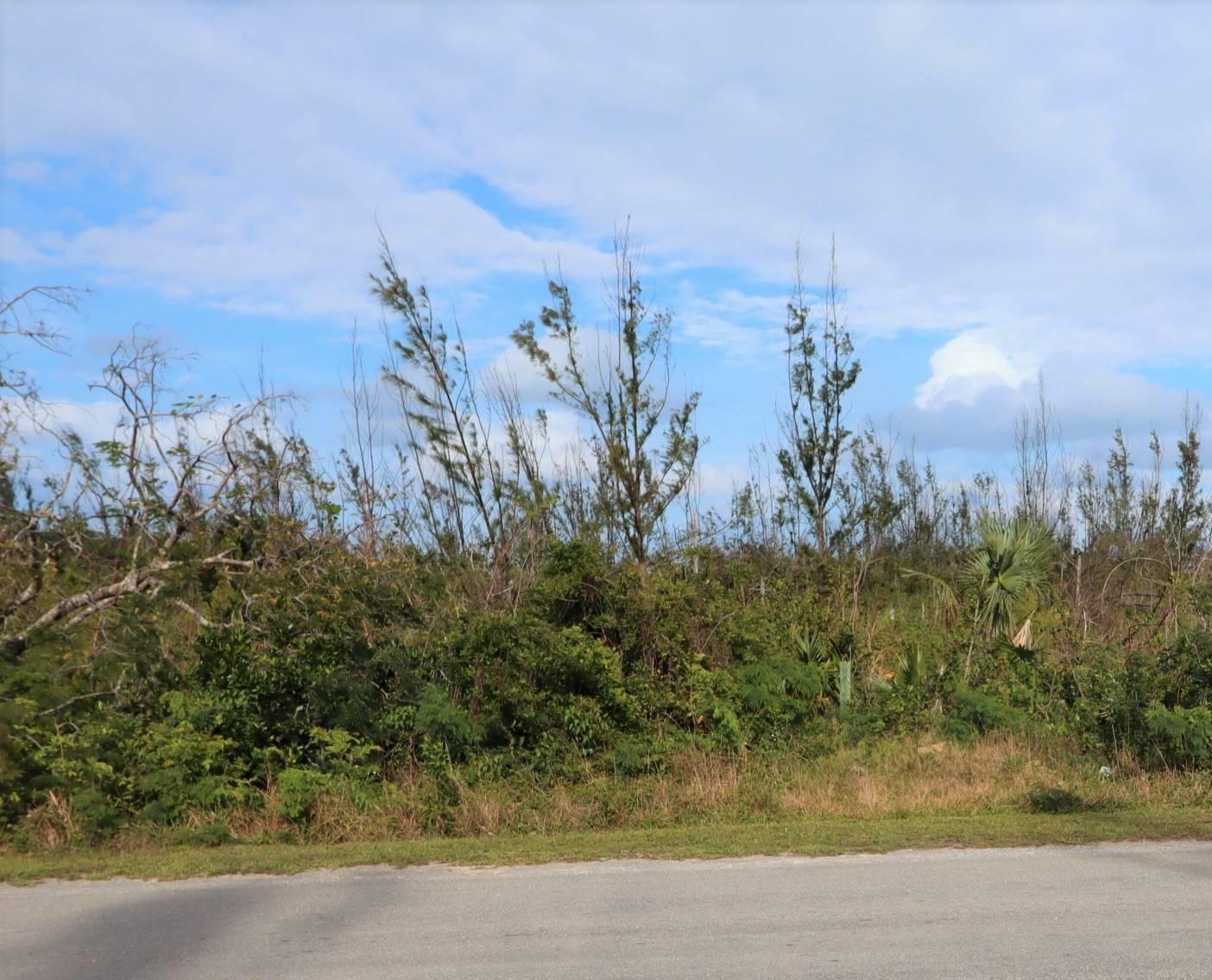 LOT 18 BLACKWOOD — photo 5