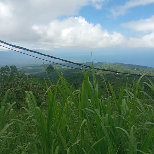 Land for sale in Badung, Bali — photo 1