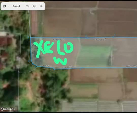 Peaceful Ricefield View Land for Lease Near RÜSTERS – Singakerta, Ubud — photo 4