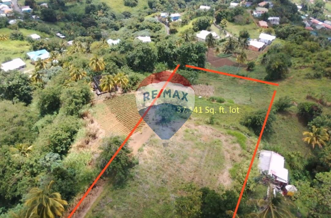 Belmont Estate Acreage — photo 2