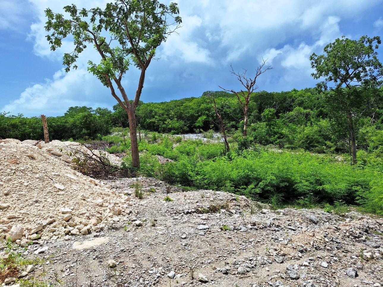 QUEENS HIGHWAY, Exuma — photo 5