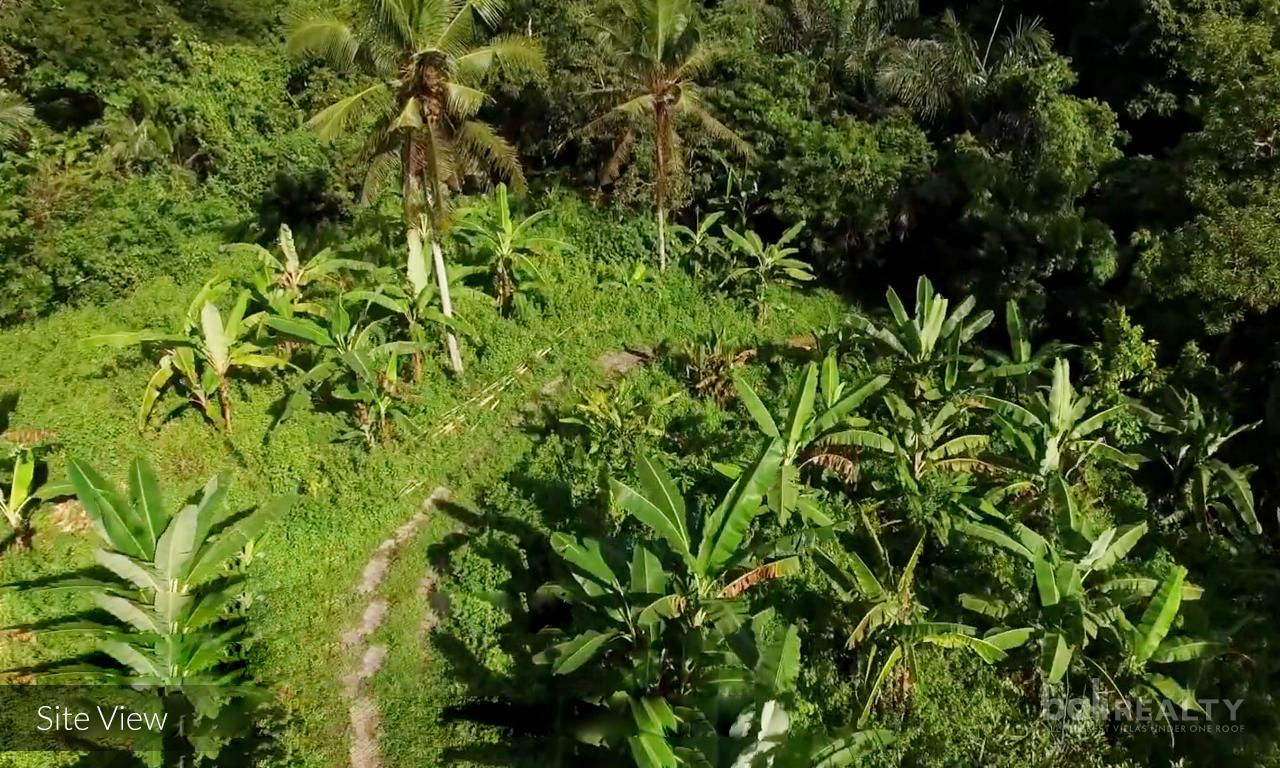 Prime Investment Potential: 2,5 hectare for Glamping Business with Scenic Views Near Balian Beach, Tabanan — photo 5