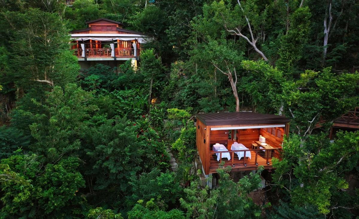 PHOTO — two timber treehouse-style villas perched in the rainforest canopy, one with loungers on its deck. 1600x975