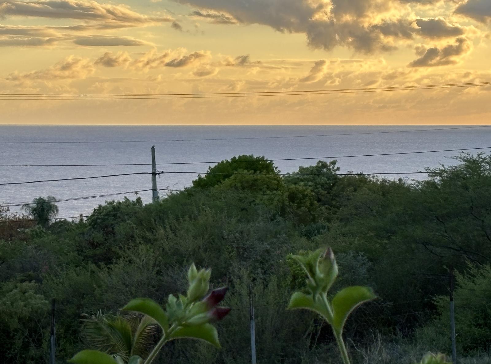 Statia Island 1 Acre Lots In Union Estate For Sale - Off The White Wall Road Sint Eustatius — photo 1