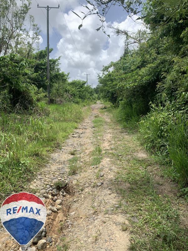 17 Acres of prime land in Choiseul - Untapped Potential — photo 4
