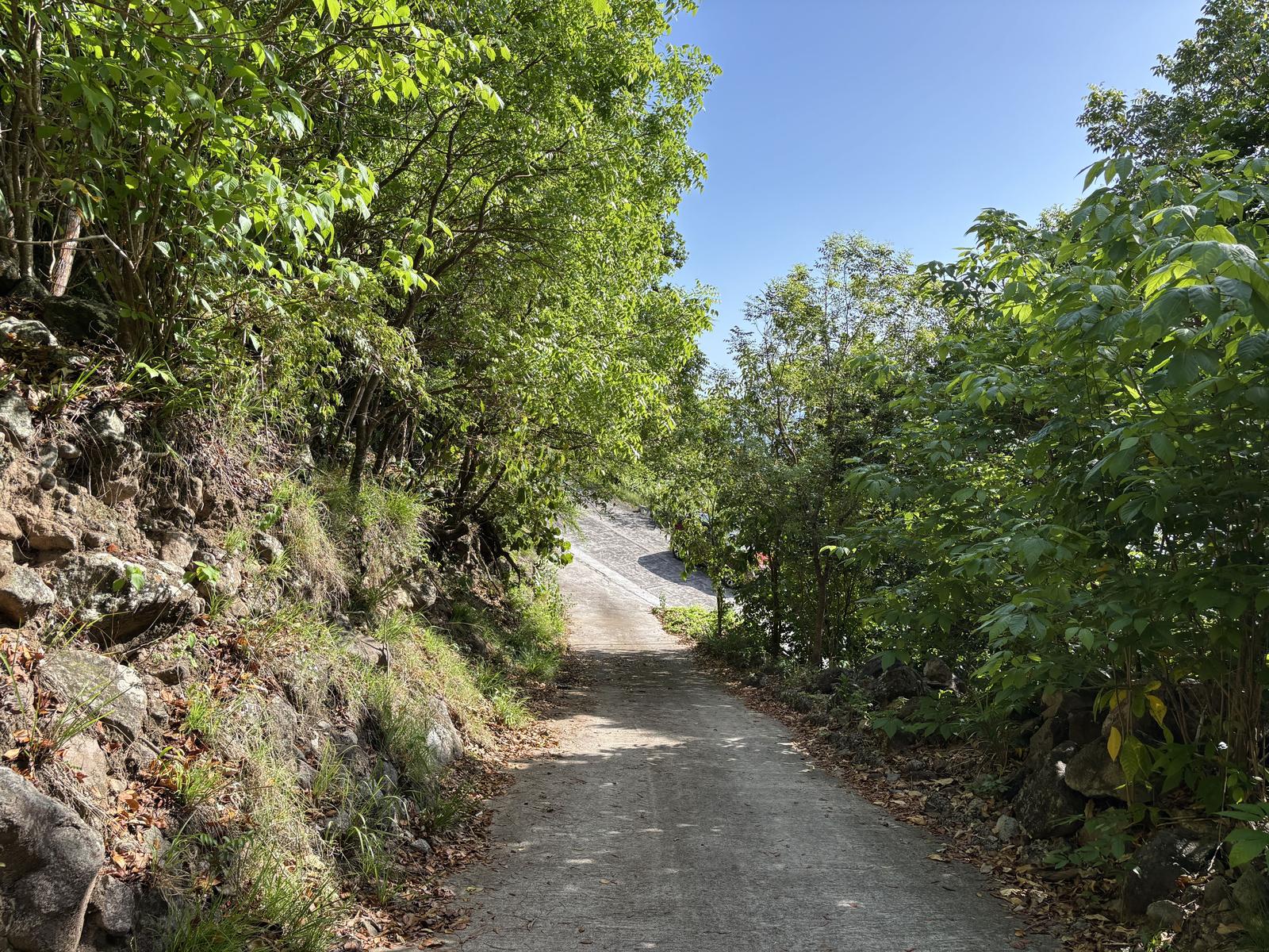 Middle Island Property — photo 2