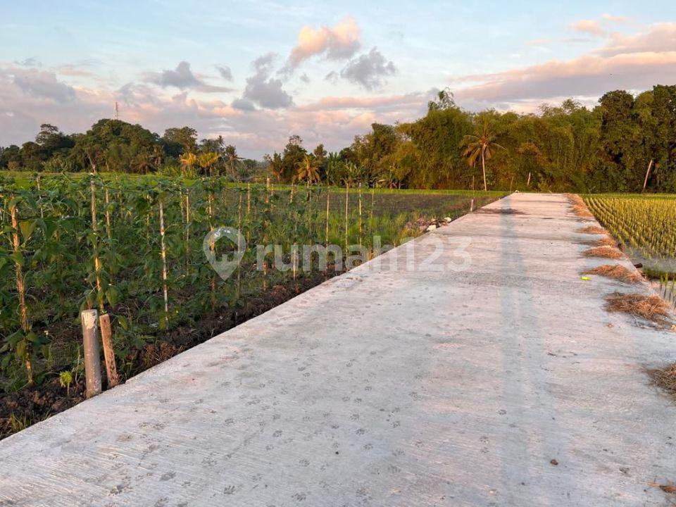 Residential land plot with ocean view in Kedungu — photo 3