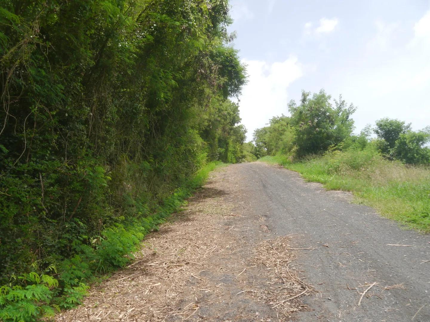 0.27 Acre Homesite Lot in US Virgin Islands — photo 5