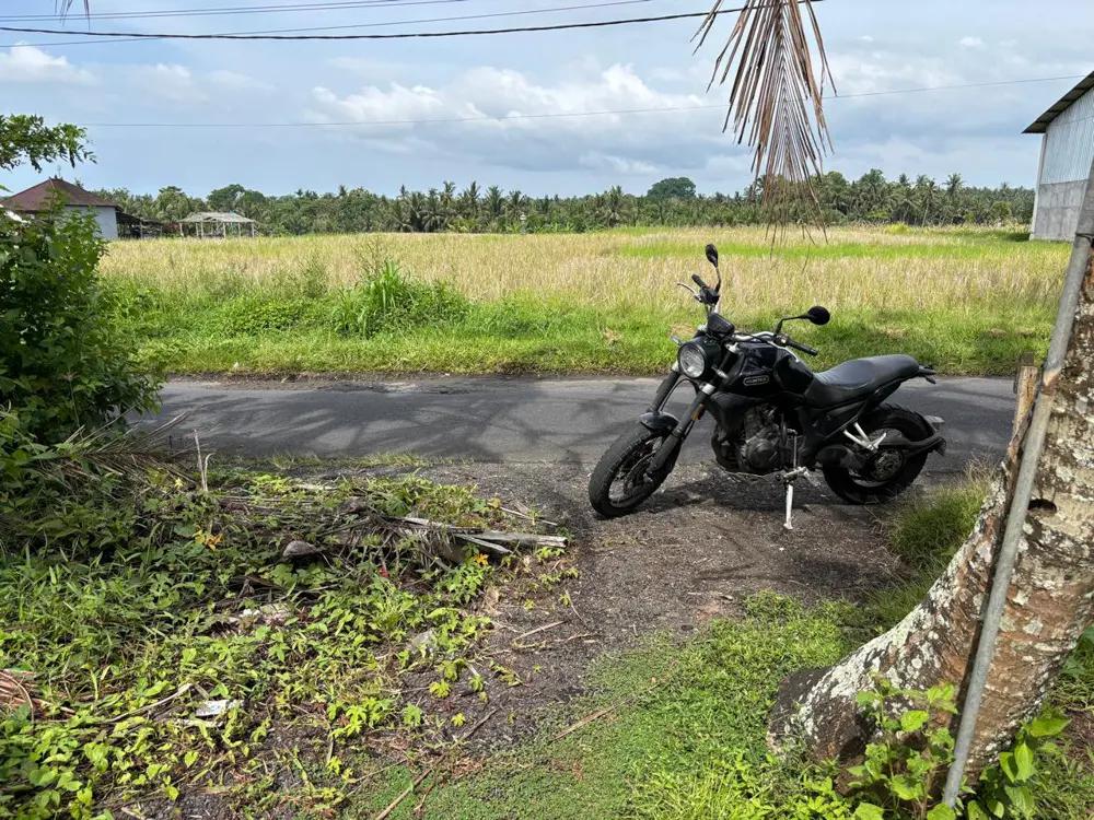 Land Riverside 13.5 Are in Tabanan – Permanent River View (Yellow Zone) — photo 4