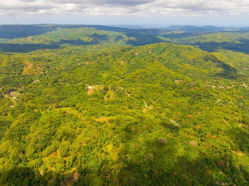 Lewisburgh 37 Acre Lot in Jamaica — photo 5