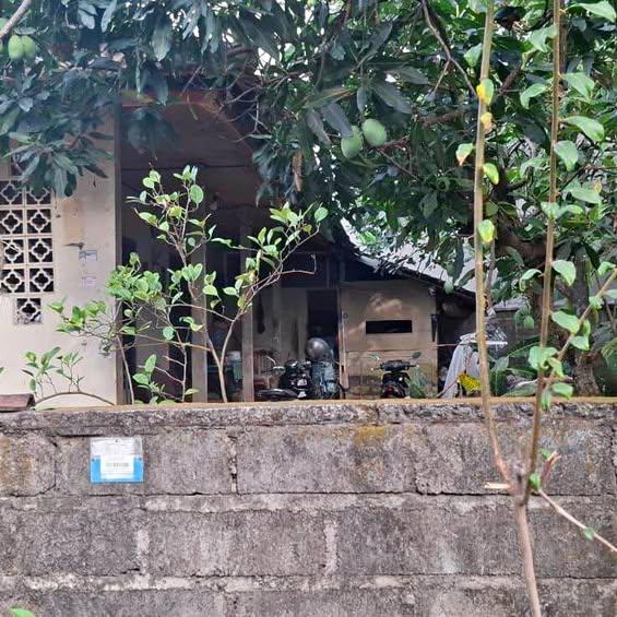 Studio house in Denpasar — photo 1