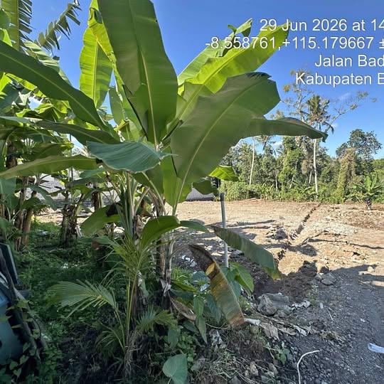 Land plot for sale in Badung, Bali — photo 1