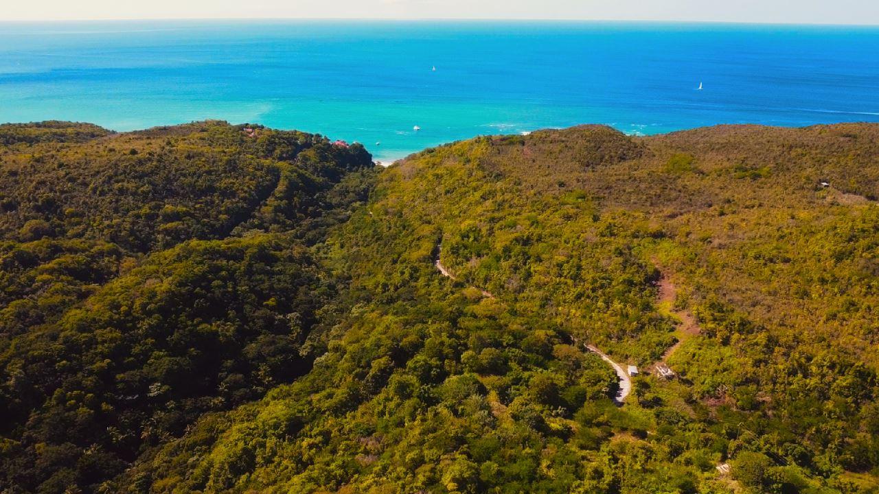 Theodorine Estate: 20-Acre Elevated Sanctuary with Sweeping Caribbean Sea Views — photo 4