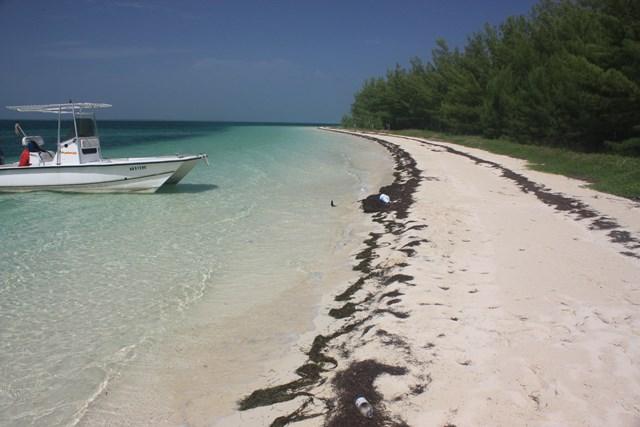 Powell Cay Private Island — photo 5