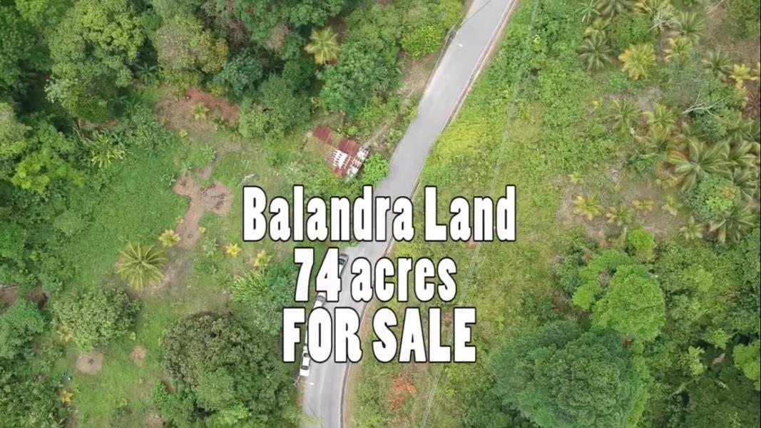 74 Acres Balandra Reduced for QUICK SALE — photo 1