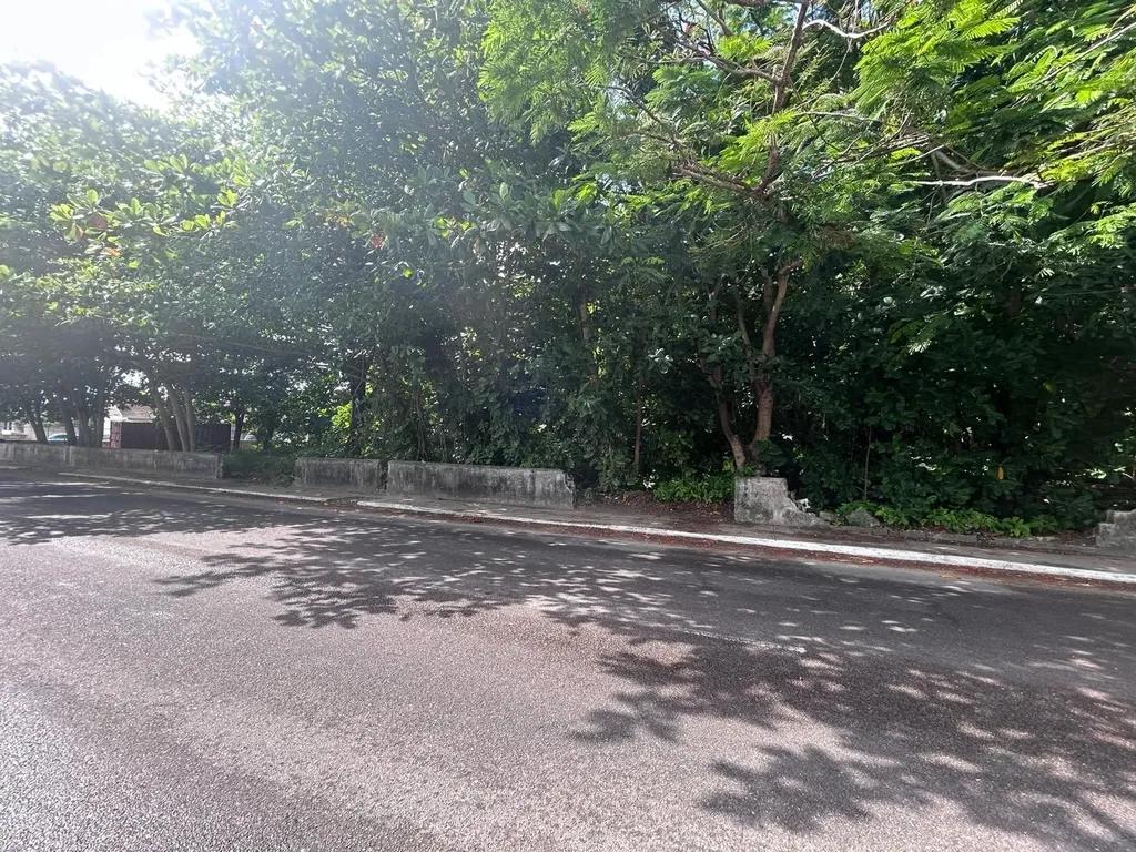 Prime commercial development opportunity on Soldier Road — photo 3