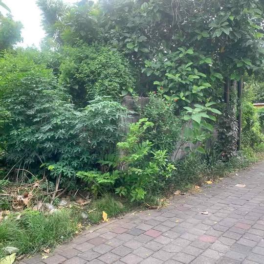 Land for sale in Jimbaran — photo 1