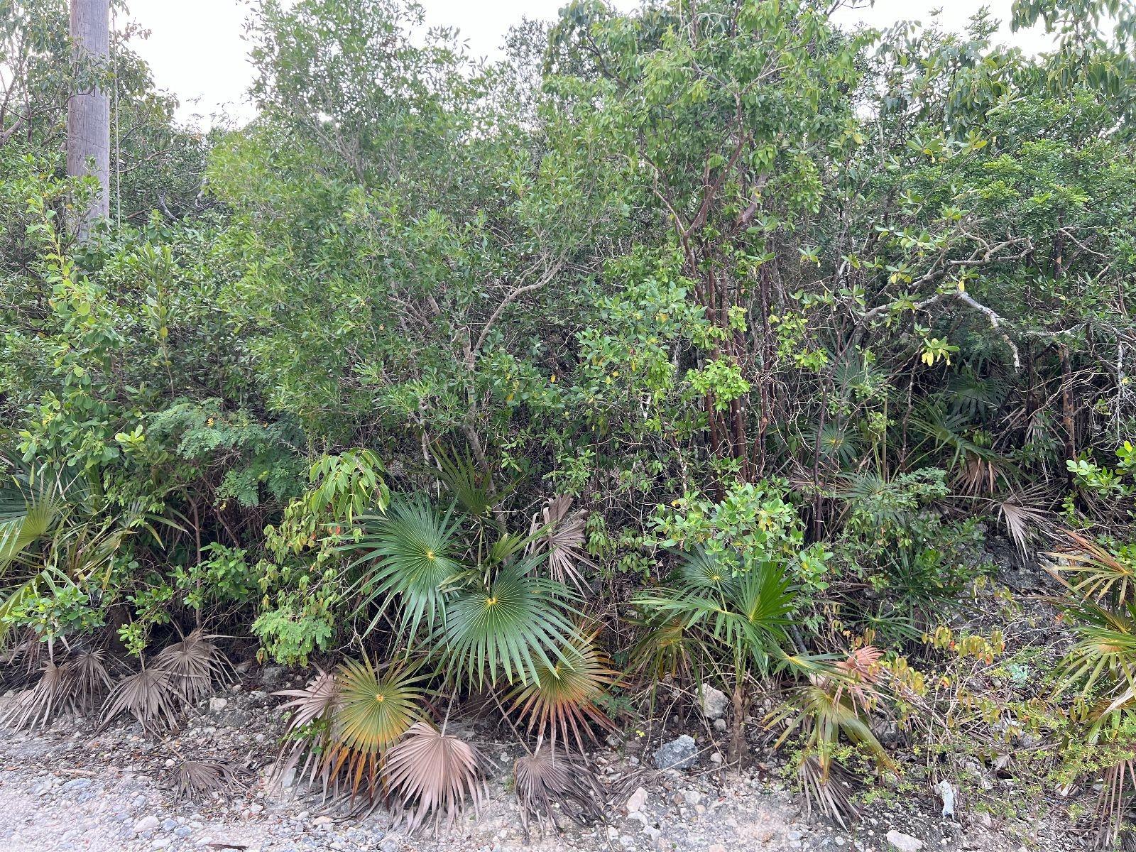 LOT 17292 BAHAMA SOUND 18 — photo 4