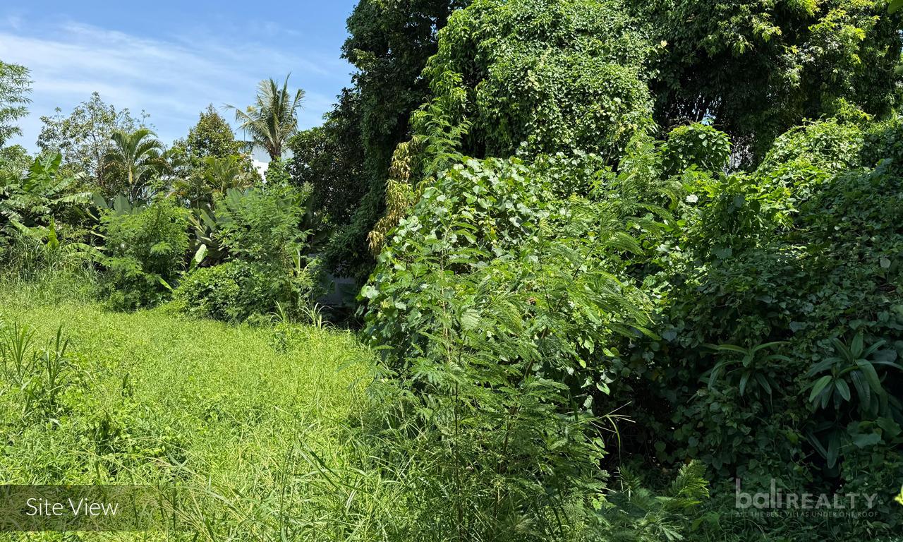 Ready-to-Build 430 sqm Plot Near Tanah Lot with Lush Rice Field Surroundings — photo 4