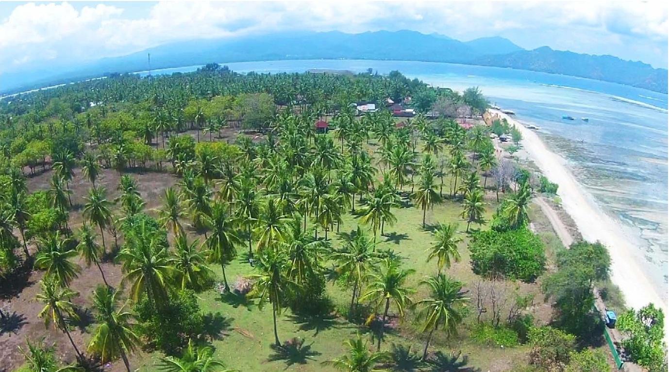 Prime 2.155 Hectare Beachfront Land for Sale Freehold on Gili Air — photo 1