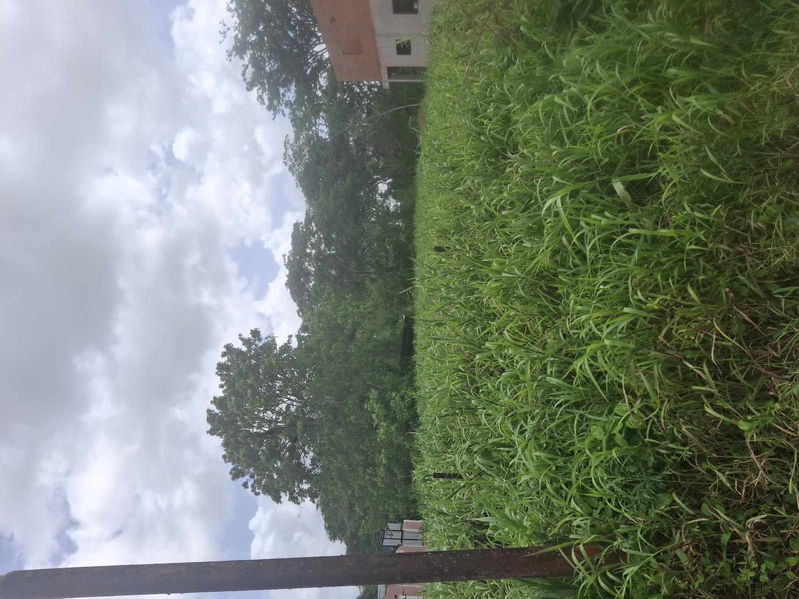 2 lots residential land Gowrie Sankar Trace, off Penal Rock Road — photo 4