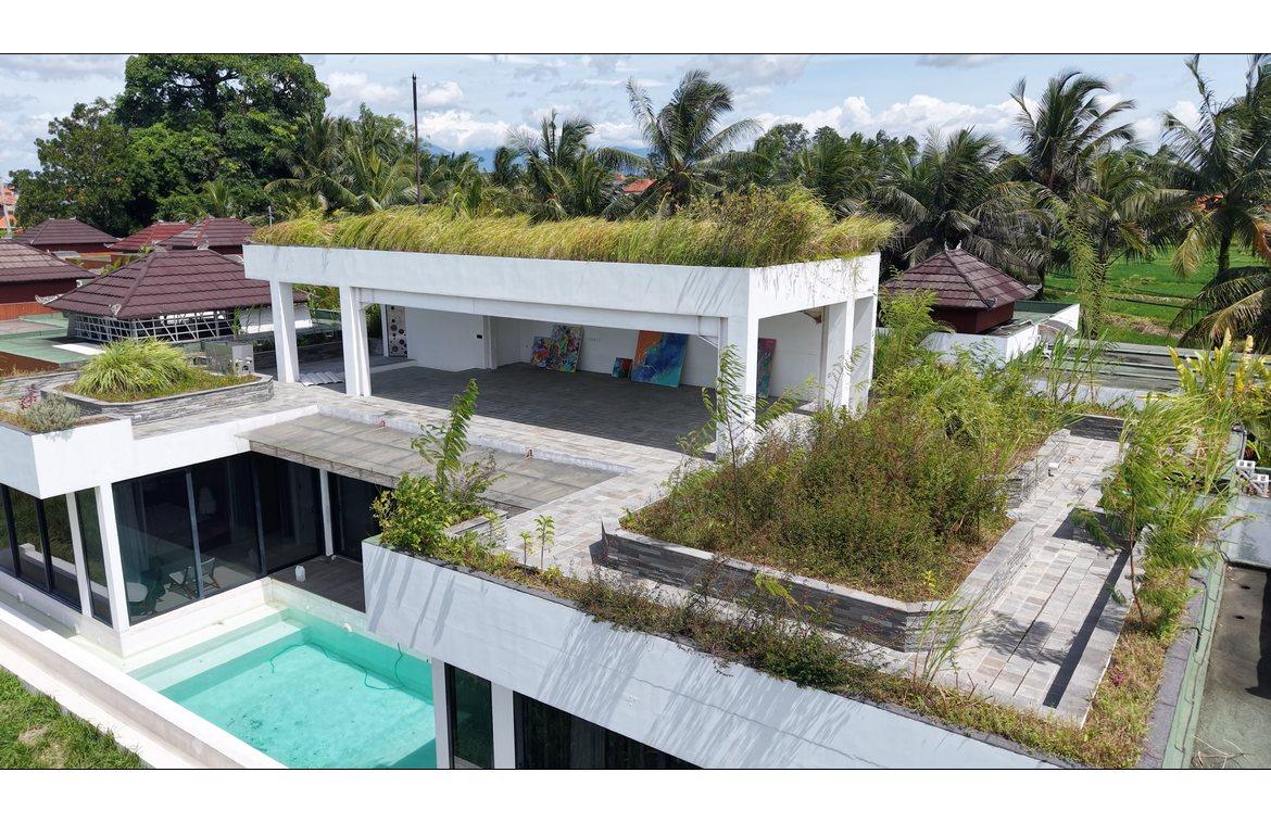2 bedroom villa for sale — Rice field view Villa with Rooftop & Spa Features in Sayan, Ubud — photo 1