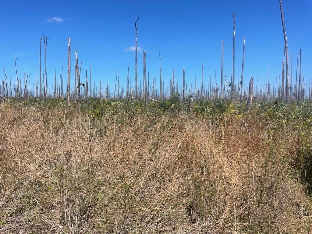 LUCAYA ESTATES LOT — photo 4