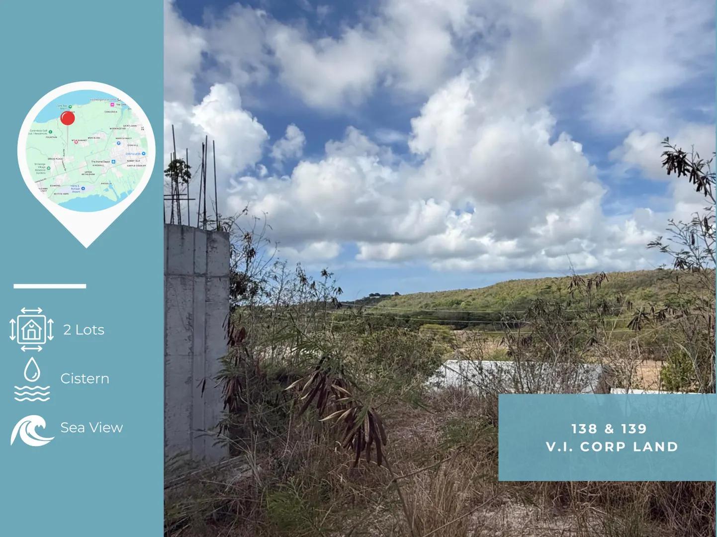 138 & 139 V.I. Corp Lands Pr — photo 1