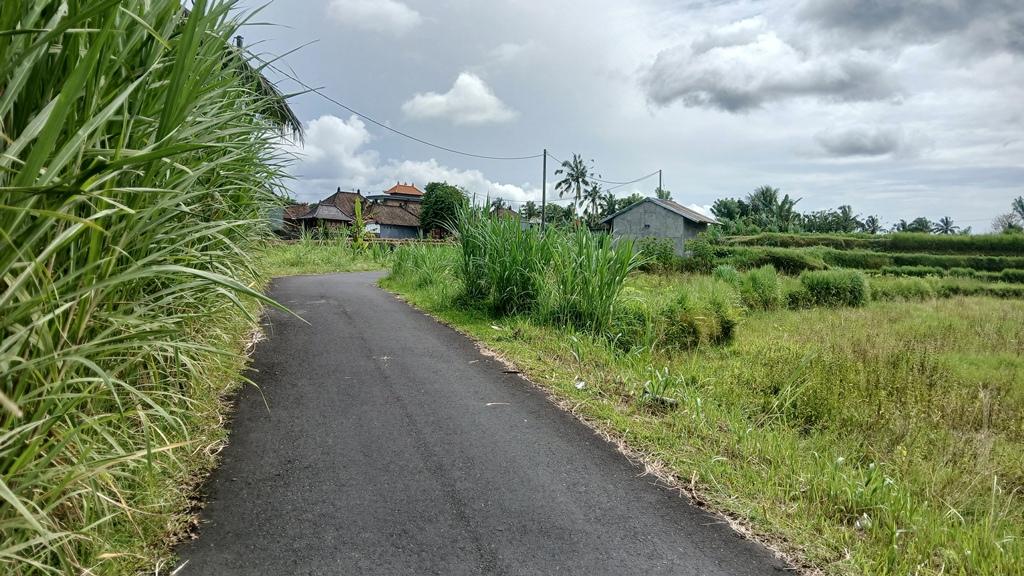 Peaceful Investment Land for Sale or Lease in Buahan, Payangan — photo 3
