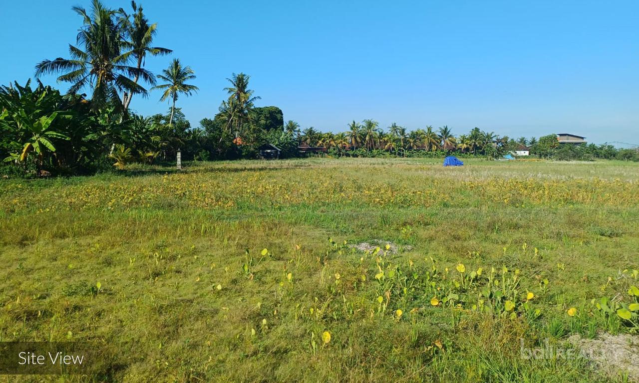 Vast 52.7 ARE Leasehold Land with Stunning Natural Views in Tabanan — photo 4