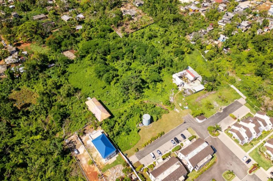 Lot 3 Red Ground in Negril — photo 4