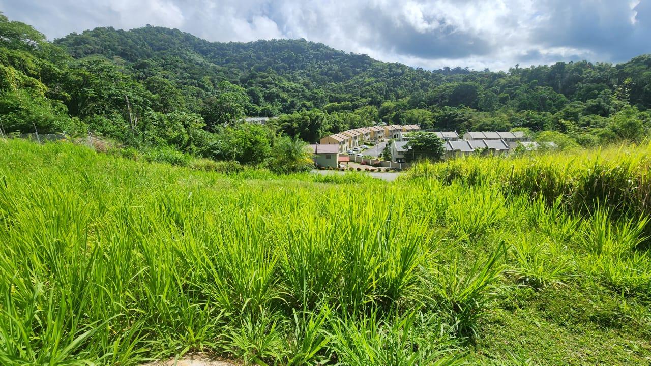 Arima Land for Sale — photo 4