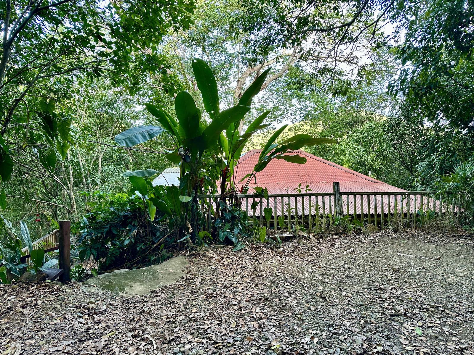 2 Bed, 2 Bath Single Family Home/House for Sale in St. John, VI — photo 4