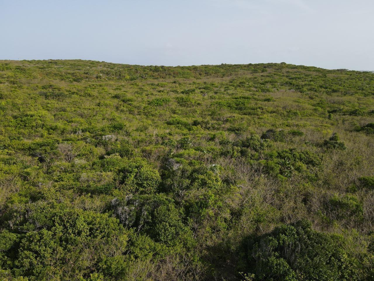 28.45ACRES DOCTOR’S CREEK in Long Island, The Bahamas — photo 5