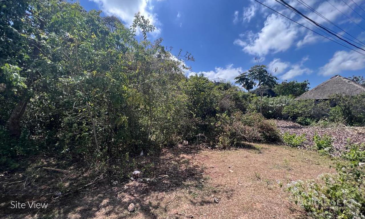 Unlock the Potential – Captivating 8,800 sqm of Land in Jimbaran’s Desirable Neighborhood — photo 4