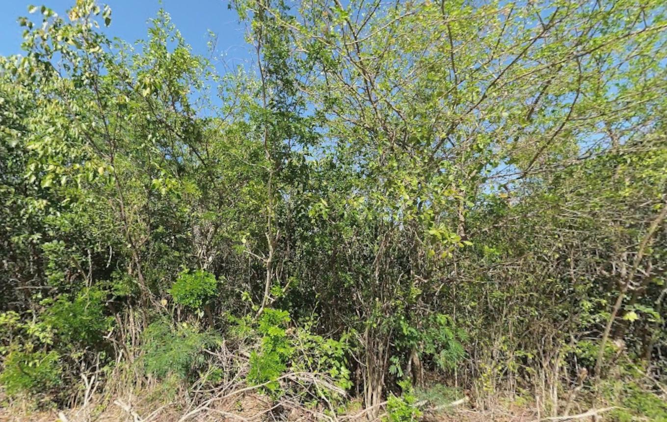 Lot 6971 BAHAMA SOUND EXUMA — photo 3