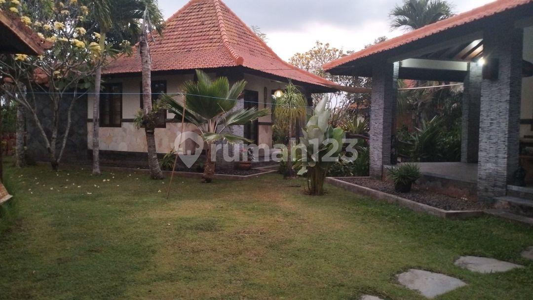 4-bedroom villa in Pering, Gianyar — photo 4