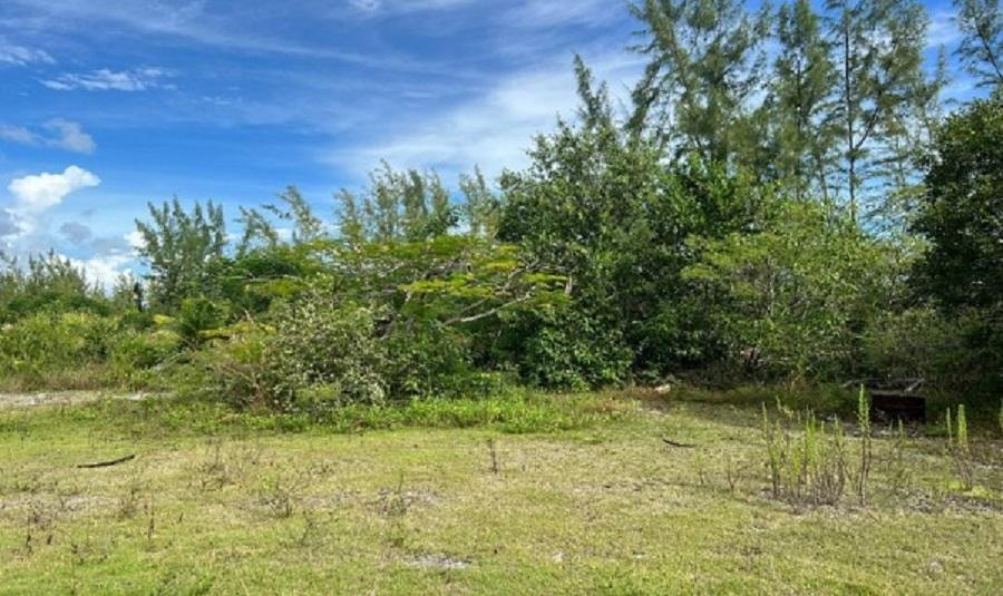 LOVE HILL, ANDROS, The Bahamas — photo 1