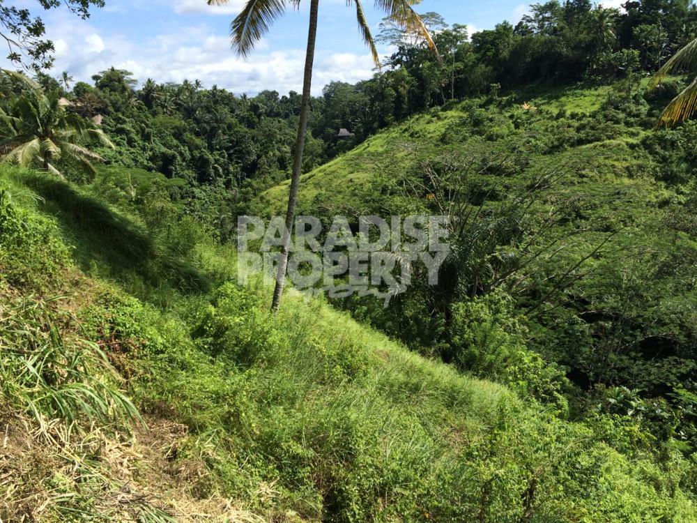 Stunning Valley Views – 2900 Sqm Freehold Land – Keliki — photo 1