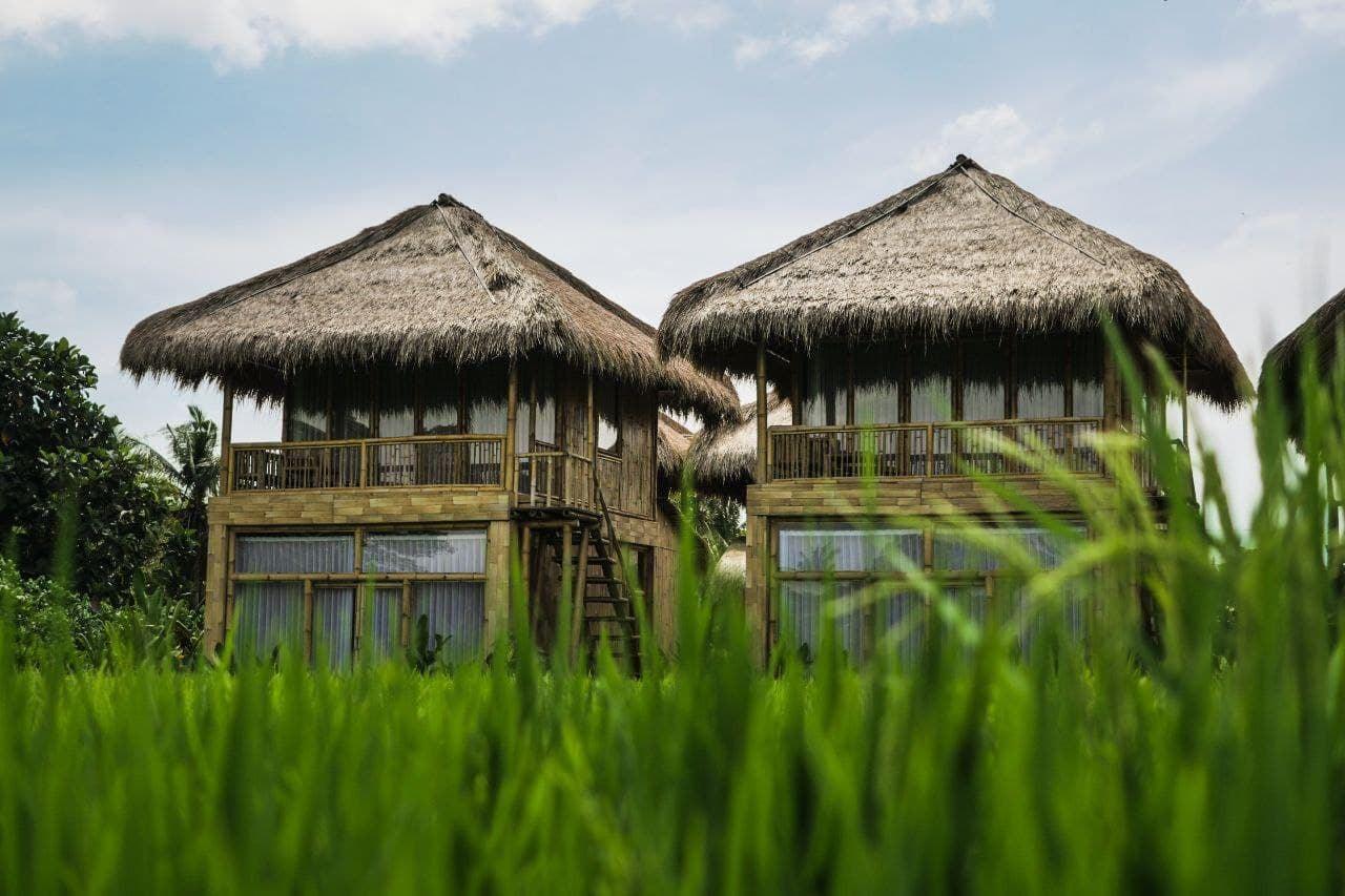 3-bedroom villa in Ubud — photo 1