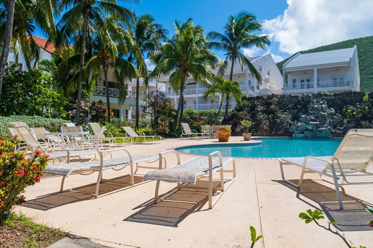 A pool with rows of loungers among tall palms, apartment buildings behind