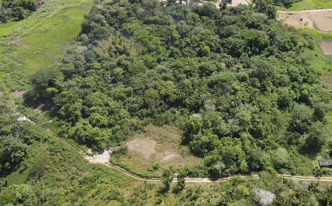 15 acres agricultural land and business for sale — photo 1