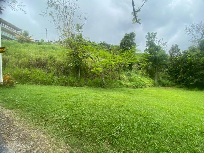 Bo. Masas, Gurabo — photo 2