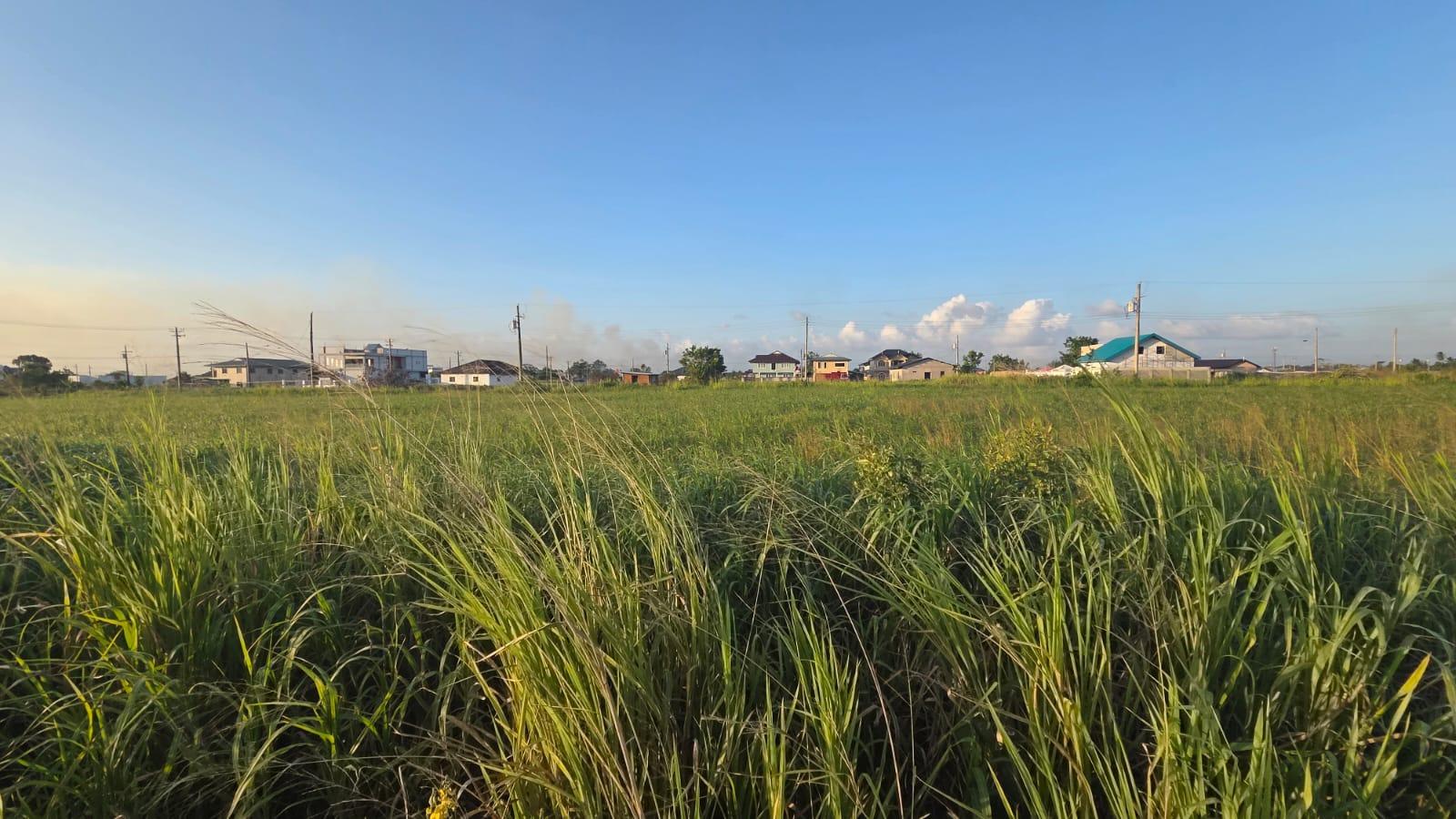 Couva Land For Sale — photo 5
