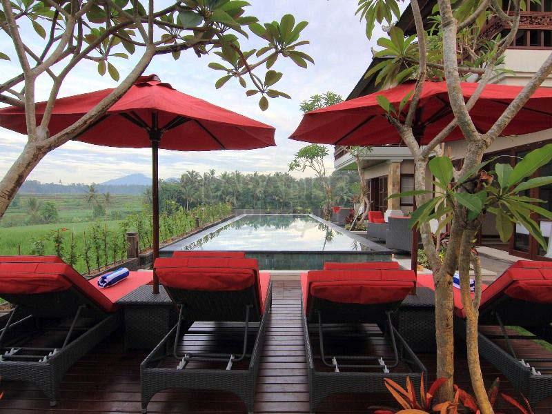 Spectacular Location Near Ubud Luxurious 4 Bedroom Villa — photo 4