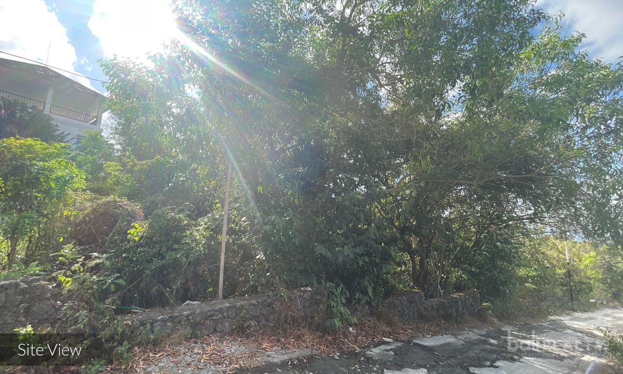 20 ARE Investment Opportunity in Balangan Near the Beaches - 2804 — photo 1